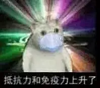 最近很火的Mur猫表情包，给JRs整了个合集！ - 步行街主干道 - 虎扑社区
