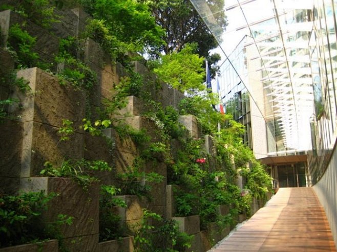 东京法国大使馆庭院景观设计Frederi...