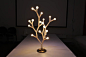 Splyt Light 组合树枝灯

设计师 Splyt 是一款可自由组合的灯具，除了倡导个性独特之外，它也能够让你精确估算自己的预算。顶灯，台灯，无论大小你都可以根据自己的喜好组合，动手做一盏属于自己的树枝灯吧~