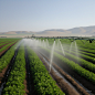 AI绘画_Prompts_NAWKO_large_irrigation_system_watering_a_field_of_green_crops_a1d20be7-f72f-434c-b929-b9c57d4fd650_xpanx.com
