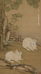 故宫博物院的照片 - 微相册