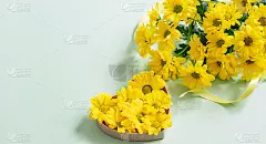 黄色的菊花花束和菊花花蕾在绿松石色的背景上呈心形。俯视图，文本空间。适合母亲节、妇女节或情人节的贺卡