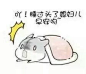 二次元仓鼠表情包_360图片