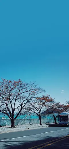 (1 条消息) 有没有超清的手机壁纸? - 知乎 : 最好是有这些元素，男生（有没有眼镜都行）、必须是动漫的、头发多点、帅气，希望能懂我描绘的人物