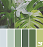 Design Seeds : Design Seeds color palettes ... posted daily for all who love color.