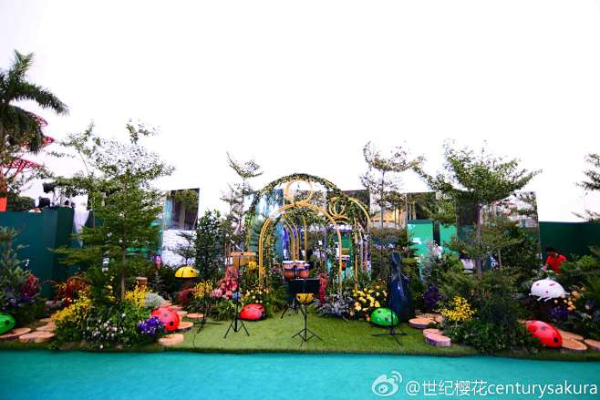 世纪樱花centurysakura的照片...