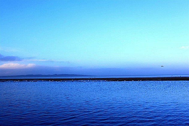 青海湖,小针的乐途