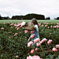 picking peonies | kinfolk magazine @Kinfolk Farm Magazine (kinfolk.com)