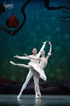 北舞附中芭蕾舞学科Peter Wright版胡桃夹子首演，第二幕压轴重头戏，由已经毕业的大师哥大师姐表演的糖果仙子与胡桃王子的大双人舞 #舞蹈 #芭蕾 #胡桃夹子 #双人舞 #北京舞蹈学院 @梦颖 - 小红书