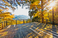 淙妈采集到郊野山头公园