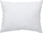 枕头 PNG