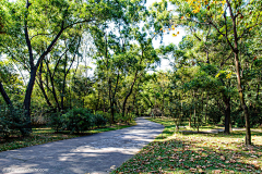 一只红鲸鱼-采集到道路景观/沥青路