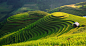 Wanasapong Jaiinpol在 500px 上的照片Circle terraces field #国内# #梯田# #景点#
