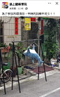 吊环