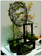 日本园艺展览 - 白毛 - 白毛的博客