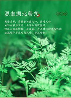 Luna樾樾采集到蕲艾