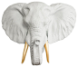Faux Mounted Elephant Head, White and Gold, Standard modern-wall-sculptures