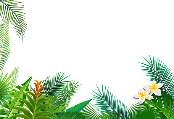 夏天边框春天绿色树叶边框