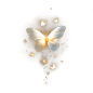 鎏金蝴蝶PNG-无偿分享（高清可商） - 小红书