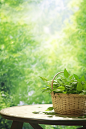 a basket full of green leaves on a table in a green park, in the style of delicately rendered landscapes, chinese cultural themes, light-filled scenes, soft and dreamy depictions, sparse backgrounds, sustainable design, bright backgrounds