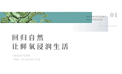 芒起来采集到画册