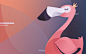 Royal Flamingo : Sorry but flamingos can't hear you over the sound of how royal they are