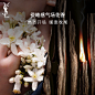 【双11抢先加购】正品 YSL圣罗兰LIBRE自由之水 持久淡香-tmall.com天猫