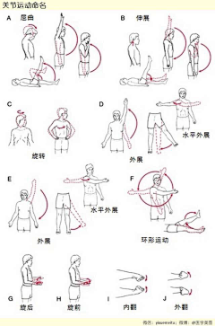 Yeagle采集到医学