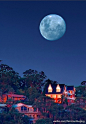 [] 如果中秋月圆之夜满足你一个愿望，你会向月亮许什么愿呢？我先来，希望宾客们在我们酒店度过难忘的假期！