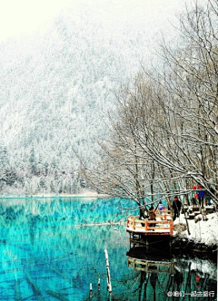 茶靡花恃采集到雪景