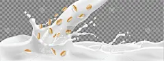 矢量3d现实牛奶卷燕麦