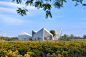 The Library In Ice-Chrysanthemum Field, China by ATELIER XI : Architecture as a Village
