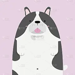可爱的大胖子法国斗牛犬