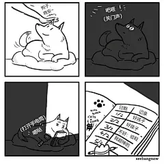 Ins上一个喜欢画猫咪和狗狗的画手bang，他的漫画里忠诚的狗狗和傲娇的猫咪，都是人类喜爱的小天使呀_图片_抽屉新热榜