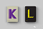 Glossary of Design Terms 字母的小册子设计//Volkan Olmez