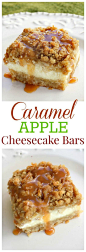 Caramel Apple Cheesecake Bars - These bars start with a shortbread crust, a thick cheesecake layer, and are topped with diced cinnamon apples and a sweet streusel topping. One of my favorite treats ever! http://the-girl-who-ate-everything.com: 