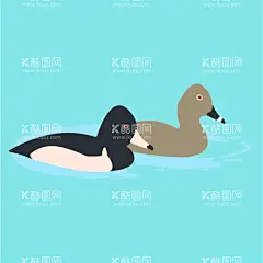 鸭子矢量素材插画  - 源文件下载【酷图网】大鹅,大雁,鸭子,天鹅,白天鹅,灰天鹅,可爱鸭子,鸭子图案,鸭子图标,鸭子背景,鸭子贴纸,鸭子壁纸,鸭子形象,鸭子卡通形象,鸭子图形,鸭子玩偶,鸭子表情,鸭子封面,鸭子海报,手绘鸭子,鸭子简笔画,鸭子图片,卡通鸭子,矢量鸭子,鸭子插画,卡通设计