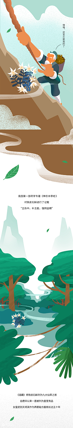 gillion采集到插画：H5页面（长图文）