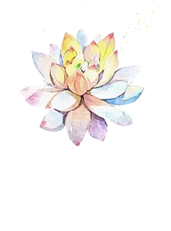 PNG素材 # 漂浮素材 # 植物 # 手绘花朵
@冒险家的旅程か★