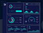 Monthly Assets Dashboard - Diginomaly : This is a preview of a digital web dashboard for agency success metrics.   Income and revenue sources are primary focus, but other data visualizations are included for additional context.