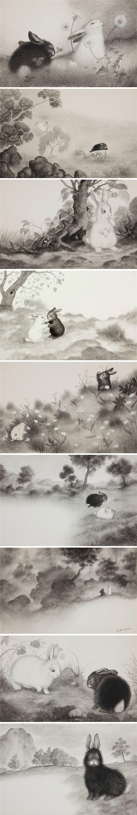 黑兔与白兔