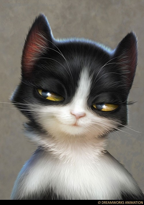 穿靴子的猫……大家不陌生吧？背后的故事哦...