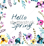 hello spring illustration....