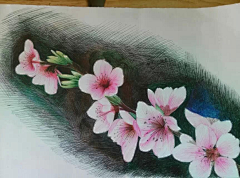 小耳朵LL采集到彩铅的世界