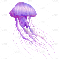 白浅Beryl采集到卡通海洋