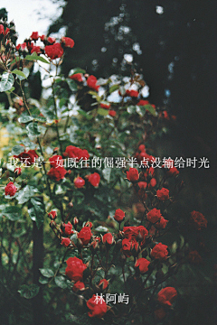 L爩888采集到经典句子