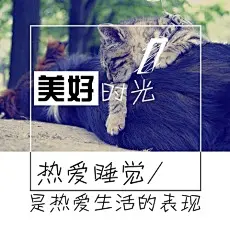 公众号、朋友圈封面、菜单、酒水单，更多模版就在“创客贴线上设计”，优惠卷、海报封面、邀请函、ppt、传单、名片、工作证、会员卡、明信片、桌面、手机背景、新闻稿、简历、淘宝美工、订阅号主图、各种模版，大量免费素材免费模版！快来使用吧~~www.chuangkit.com