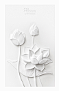 Paper Sculpture : White Thai Flowers on Behance