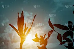 产品背景展示展示与垃圾混凝土地板和黑色抽象运动模糊的蓝色墙壁与聚光灯在产品展示位置的空白