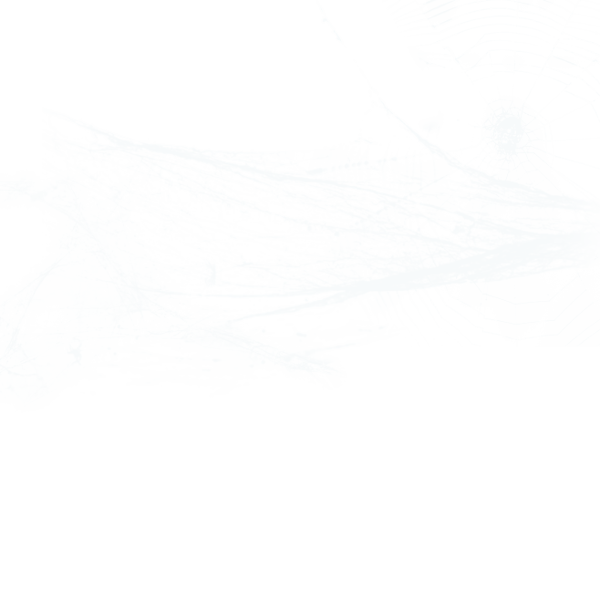 蜘蛛网蜘蛛丝恐怖元素免抠透明背景PNG万...